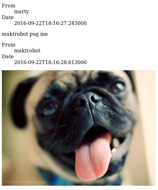 a message exchange. marty asks maktrobot to 'pug me'. maktrobot responds with an image of a pug.